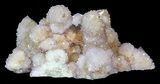 Cactus Quartz (Amethyst) Cluster - South Africa #62960-2